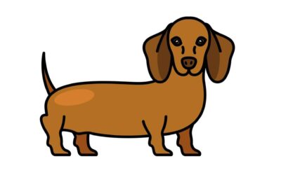 Help send this dog over the rainbow.