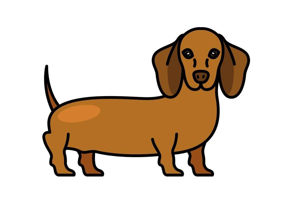 Help send this dog over the rainbow.